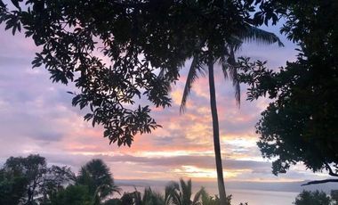 Chico Tree Hill Residential Lot for Sale