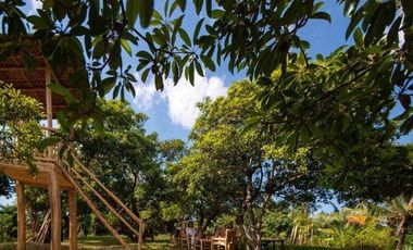 Chico Tree Hill Residential Lot for Sale