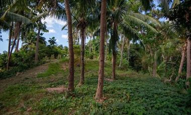 Chico Tree Hill Residential Lot for Sale