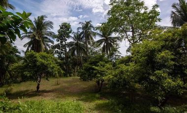 Chico Tree Hill Residential Lot for Sale