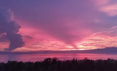 Chico Tree Hill Residential Lot for Sale