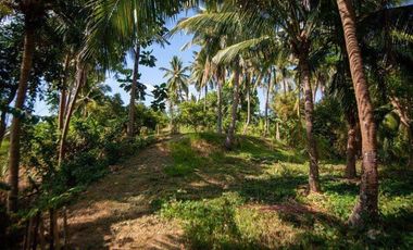 Chico Tree Hill Residential Lot for Sale