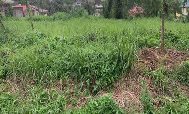 397 sqm Residential Lot for Sale in Tagaytay Southridge Estates, Cavite