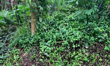 397 sqm Residential Lot for Sale in Tagaytay Southridge Estates, Cavite