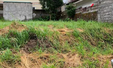 397 sqm Residential Lot for Sale in Tagaytay Southridge Estates, Cavite