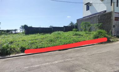 For Sale: Residential Lot in Silang, Cavite