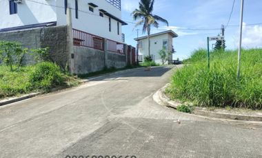 For Sale: Residential Lot in Silang, Cavite