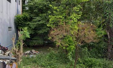 120 sqm. Lot for Sale in Ayukit Subdivision, Bocaue, Bulacan