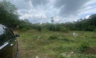 Lot in Lipa, Batangas near mabini, ibaan, and bolbok 10,102 sq.m wide frontage