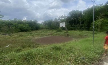 Lot in Lipa, Batangas near mabini, ibaan, and bolbok 10,102 sq.m wide frontage