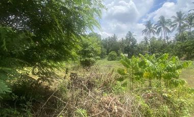 Lot in Lipa, Batangas near mabini, ibaan, and bolbok 10,102 sq.m wide frontage