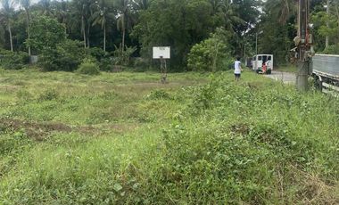 Lot in Lipa, Batangas near mabini, ibaan, and bolbok 10,102 sq.m wide frontage