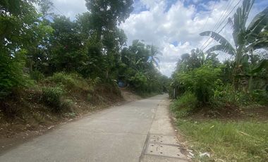 Lot in Lipa, Batangas near mabini, ibaan, and bolbok 10,102 sq.m wide frontage