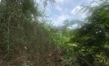 Lot in Lipa, Batangas near mabini, ibaan, and bolbok 10,102 sq.m wide frontage