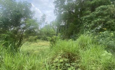 Lot in Lipa, Batangas near mabini, ibaan, and bolbok 10,102 sq.m wide frontage