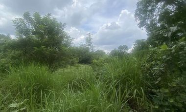 Lot in Lipa, Batangas near mabini, ibaan, and bolbok 10,102 sq.m wide frontage