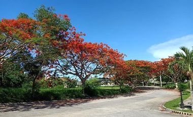521 sqm Lot for Sale at Stonecrest Village, San Pedro Laguna