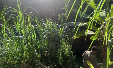 Ideal Lot for Resort in Casile, Cabuyao, Laguna For Sale