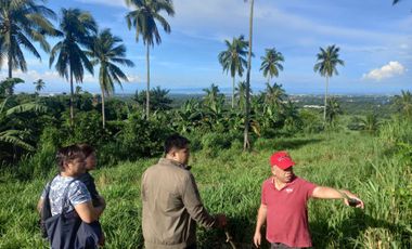 Ideal Lot for Resort in Casile, Cabuyao, Laguna For Sale