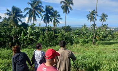 Ideal Lot for Resort in Casile, Cabuyao, Laguna For Sale