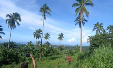 Ideal Lot for Resort in Casile, Cabuyao, Laguna For Sale