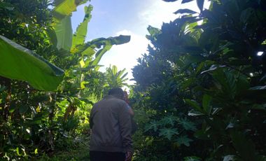 Ideal Lot for Resort in Casile, Cabuyao, Laguna For Sale
