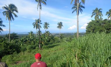 Ideal Lot for Resort in Casile, Cabuyao, Laguna For Sale