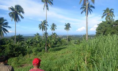 Ideal Lot for Resort in Casile, Cabuyao, Laguna For Sale