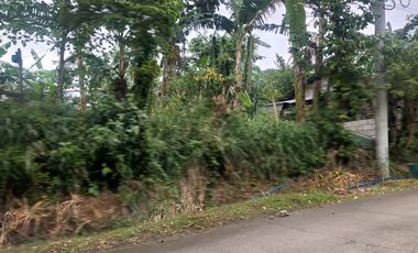 Ideal Lot for Resort in Casile, Cabuyao, Laguna For Sale