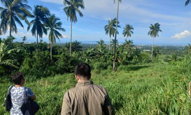 Ideal Lot for Resort in Casile, Cabuyao, Laguna For Sale