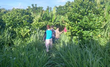 Ideal Lot for Resort in Casile, Cabuyao, Laguna For Sale