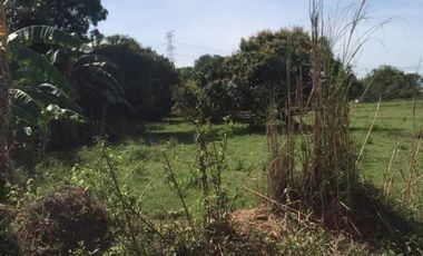 1 Hectare Residential Land For Sale in Sta Barbara Pangasinan