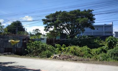 1,666sq.m. commercial lot for sale in Marigondon, Lapu-Lapu City @P25k/sq.