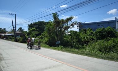 1,666sq.m. commercial lot for sale in Marigondon, Lapu-Lapu City @P25k/sq.