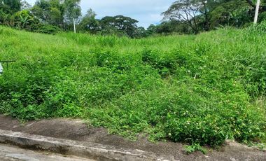Residential Plot for sale in Rizal, Angono