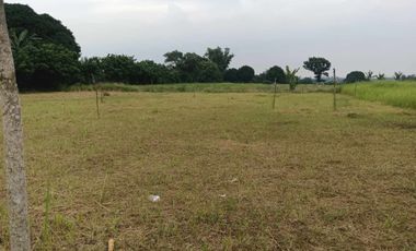 For Sale: 100 sqm Lot in Silang, Cavite near Tagaytay City