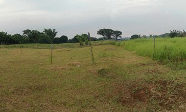 For Sale: 100 sqm Lot in Silang, Cavite near Tagaytay City
