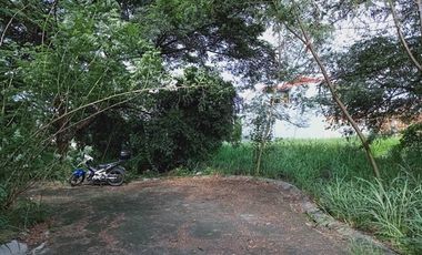 Affordable Residential Lot Sale in Town & Country West, Bacoor, Cavite 16.5k/sqm