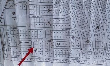 Affordable Residential Lot Sale in Town & Country West, Bacoor, Cavite 16.5k/sqm