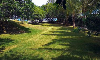 Exquisite Manor By The Sea in Dauis, Panglao Island, Bohol