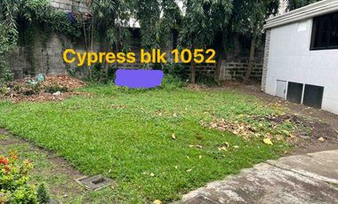 Affordable Family Estates in Manila Memorial Park Sucat