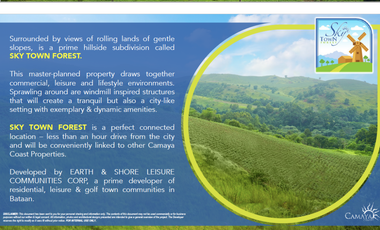 Camaya Coast Station 3 Sky Town Forest - Lot for sale at Bagac, Bataan