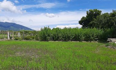 For Sale: 25,990 sqm Residential/ Farm Lots in Magalang, Pampanga!