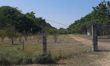 For Sale: 25,990 sqm Residential/ Farm Lots in Magalang, Pampanga!