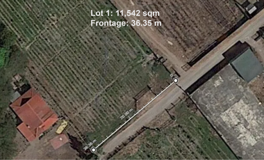 For Sale: 25,990 sqm Residential/ Farm Lots in Magalang, Pampanga!