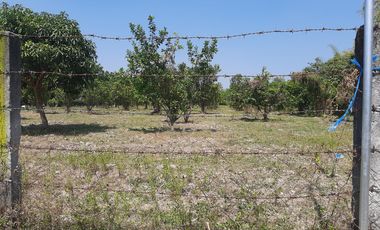 For Sale: 25,990 sqm Residential/ Farm Lots in Magalang, Pampanga!