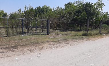 For Sale: 25,990 sqm Residential/ Farm Lots in Magalang, Pampanga!