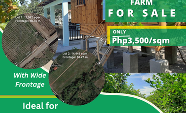 For Sale: 25,990 sqm Residential/ Farm Lots in Magalang, Pampanga!