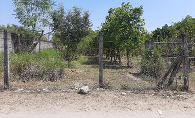 For Sale: 25,990 sqm Residential/ Farm Lots in Magalang, Pampanga!