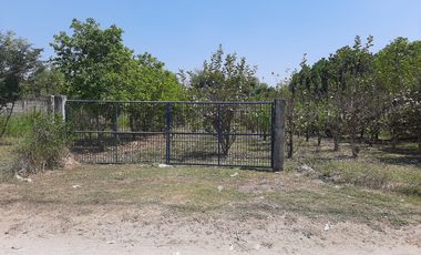 For Sale: 25,990 sqm Residential/ Farm Lots in Magalang, Pampanga!